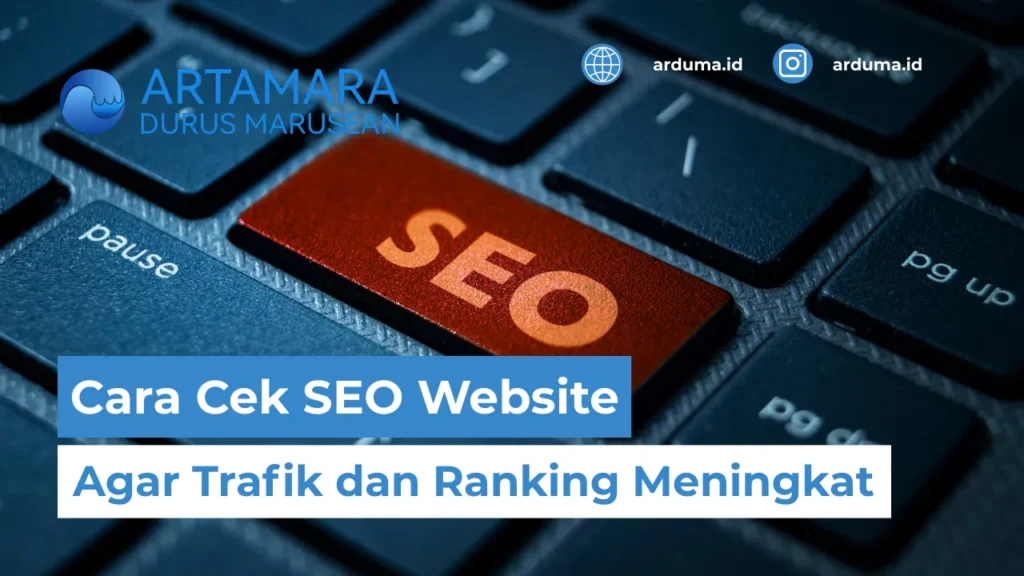 cek seo website